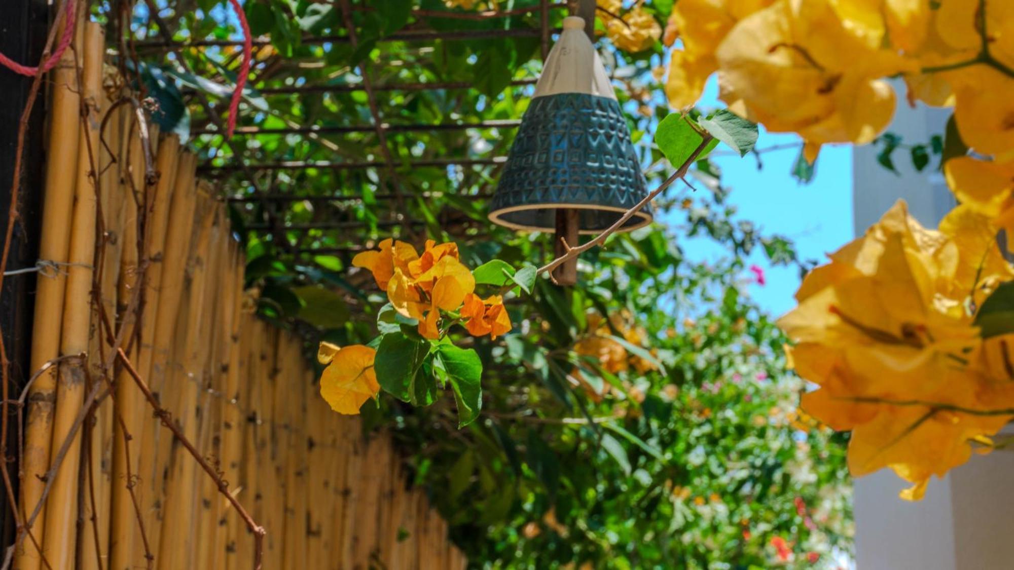 Villa Istanblue Kalkan Kaş Buitenkant foto